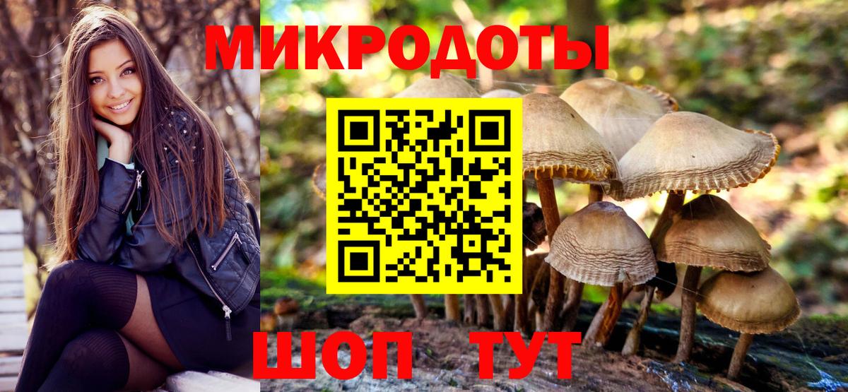 Гудермес  Галлюциногенные грибы MAGIC MUSHROOMS  Вход с VPN 